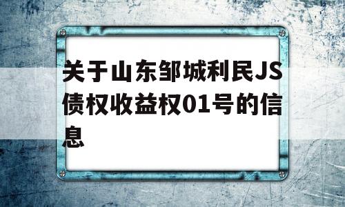 关于山东邹城利民JS债权收益权01号的信息