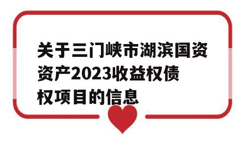 关于三门峡市湖滨国资资产2023收益权债权项目的信息