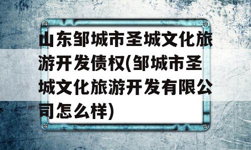 山东邹城市圣城文化旅游开发债权(邹城市圣城文化旅游开发有限公司怎么样)