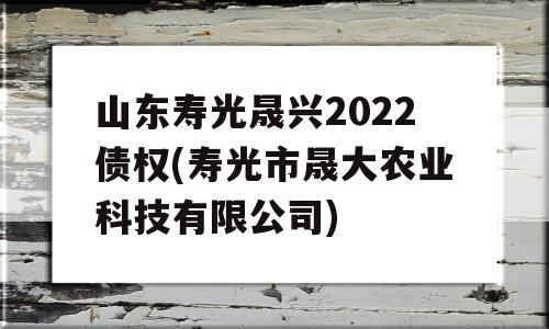 山东寿光晟兴2022债权(寿光市晟大农业科技有限公司)