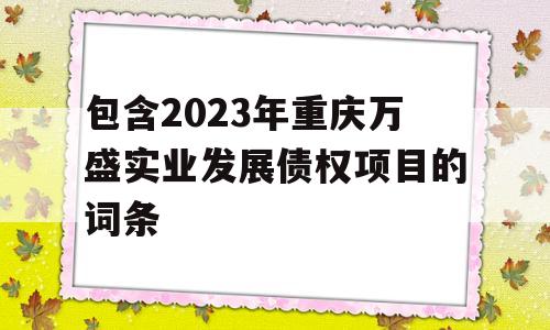 包含2023年重庆万盛实业发展债权项目的词条