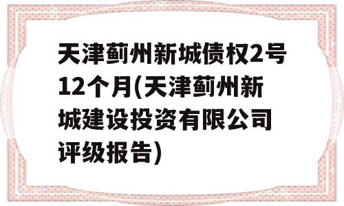 天津蓟州新城债权2号12个月(天津蓟州新城建设投资有限公司 评级报告)