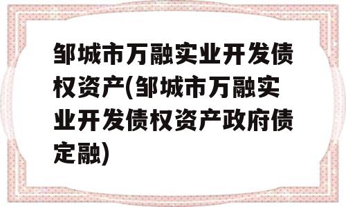 邹城市万融实业开发债权资产(邹城市万融实业开发债权资产政府债定融)