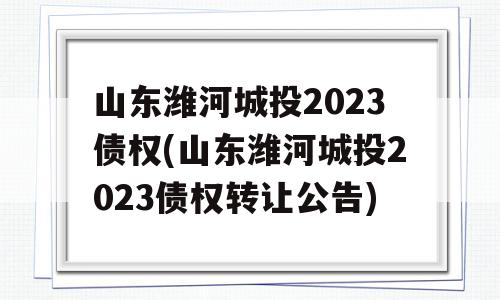 山东潍河城投2023债权(山东潍河城投2023债权转让公告)