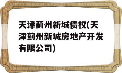 天津蓟州新城债权(天津蓟州新城房地产开发有限公司)