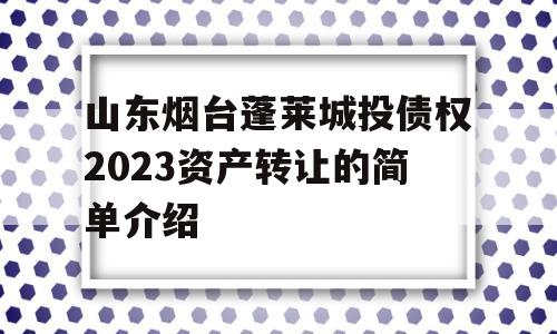 山东烟台蓬莱城投债权2023资产转让的简单介绍