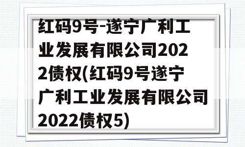 红码9号-遂宁广利工业发展有限公司2022债权(红码9号遂宁广利工业发展有限公司2022债权5)