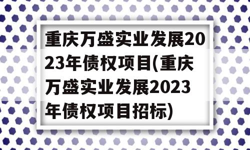 重庆万盛实业发展2023年债权项目(重庆万盛实业发展2023年债权项目招标)