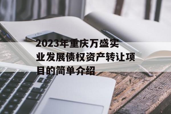 2023年重庆万盛实业发展债权资产转让项目的简单介绍