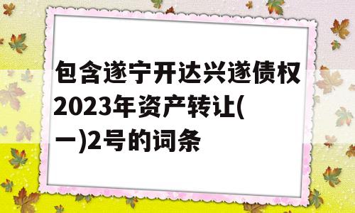 包含遂宁开达兴遂债权2023年资产转让(一)2号的词条