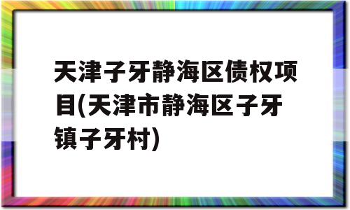 天津子牙静海区债权项目(天津市静海区子牙镇子牙村)