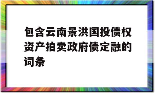 包含云南景洪国投债权资产拍卖政府债定融的词条