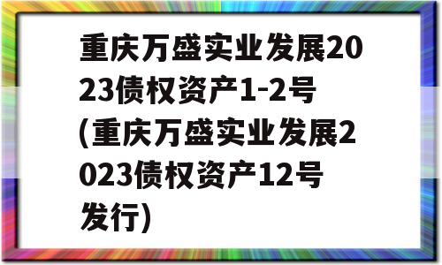 重庆万盛实业发展2023债权资产1-2号(重庆万盛实业发展2023债权资产12号发行)