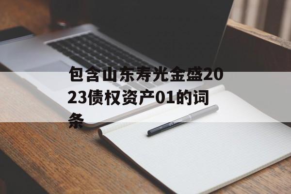 包含山东寿光金盛2023债权资产01的词条