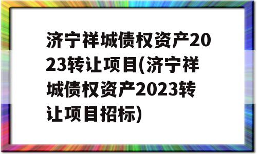 济宁祥城债权资产2023转让项目(济宁祥城债权资产2023转让项目招标)