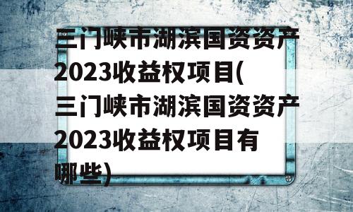 三门峡市湖滨国资资产2023收益权项目(三门峡市湖滨国资资产2023收益权项目有哪些)