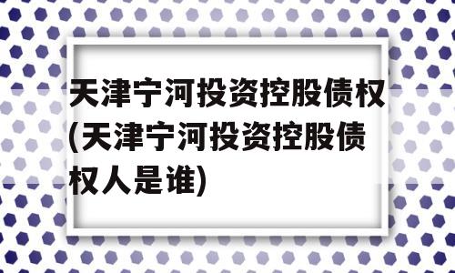 天津宁河投资控股债权(天津宁河投资控股债权人是谁)