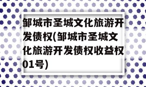 邹城市圣城文化旅游开发债权(邹城市圣城文化旅游开发债权收益权01号)