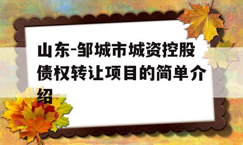 山东-邹城市城资控股债权转让项目的简单介绍