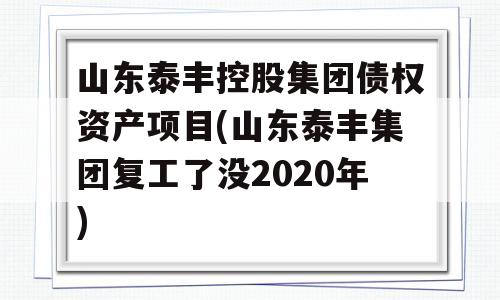 山东泰丰控股集团债权资产项目(山东泰丰集团复工了没2020年)