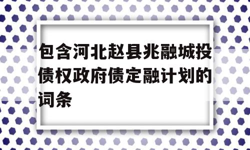 包含河北赵县兆融城投债权政府债定融计划的词条