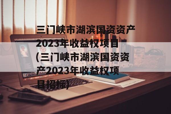 三门峡市湖滨国资资产2023年收益权项目(三门峡市湖滨国资资产2023年收益权项目招标)