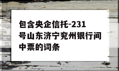 包含央企信托-231号山东济宁兖州银行间中票的词条