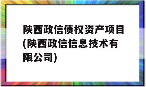 陕西政信债权资产项目(陕西政信信息技术有限公司)