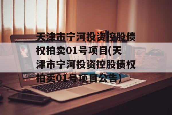 天津市宁河投资控股债权拍卖01号项目(天津市宁河投资控股债权拍卖01号项目公告)