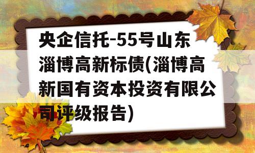 央企信托-55号山东淄博高新标债(淄博高新国有资本投资有限公司评级报告)