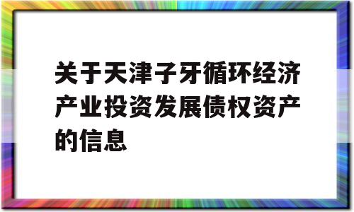 关于天津子牙循环经济产业投资发展债权资产的信息