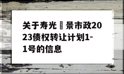 关于寿光昇景市政2023债权转让计划1-1号的信息