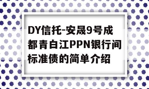 DY信托-安晟9号成都青白江PPN银行间标准债的简单介绍