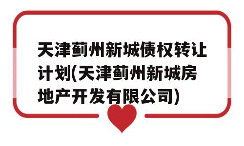 天津蓟州新城债权转让计划(天津蓟州新城房地产开发有限公司)