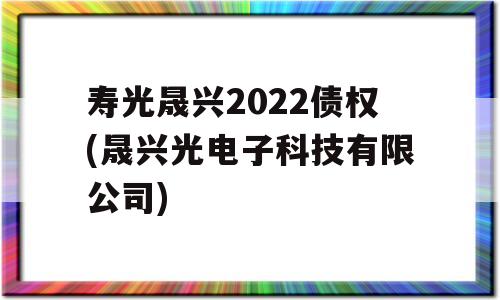 寿光晟兴2022债权(晟兴光电子科技有限公司)