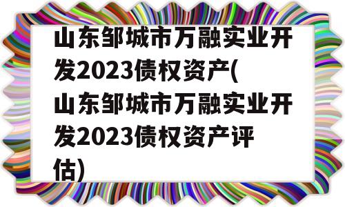 山东邹城市万融实业开发2023债权资产(山东邹城市万融实业开发2023债权资产评估)