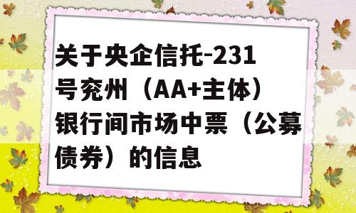 关于央企信托-231号兖州（AA+主体）银行间市场中票（公募债券）的信息