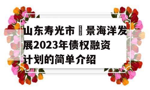 山东寿光市昇景海洋发展2023年债权融资计划的简单介绍