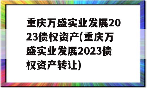 重庆万盛实业发展2023债权资产(重庆万盛实业发展2023债权资产转让)