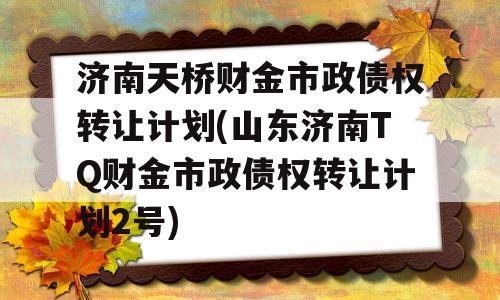 济南天桥财金市政债权转让计划(山东济南TQ财金市政债权转让计划2号)