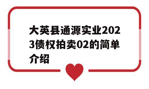 大英县通源实业2023债权拍卖02的简单介绍