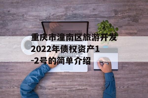 重庆市潼南区旅游开发2022年债权资产1-2号的简单介绍