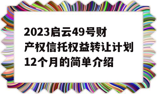 2023启云49号财产权信托权益转让计划12个月的简单介绍