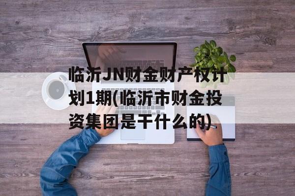 临沂JN财金财产权计划1期(临沂市财金投资集团是干什么的)