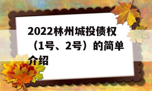 2022林州城投债权（1号、2号）的简单介绍