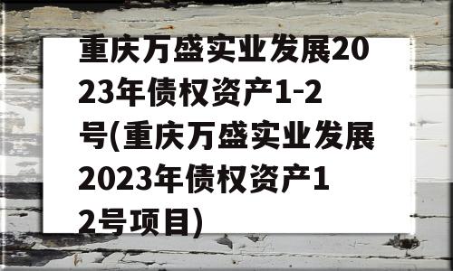 重庆万盛实业发展2023年债权资产1-2号(重庆万盛实业发展2023年债权资产12号项目)