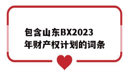 包含山东BX2023年财产权计划的词条