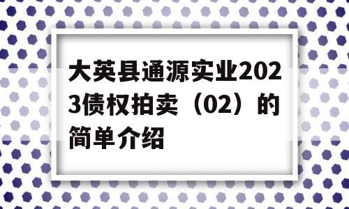 大英县通源实业2023债权拍卖（02）的简单介绍