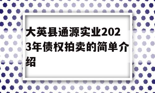 大英县通源实业2023年债权拍卖的简单介绍