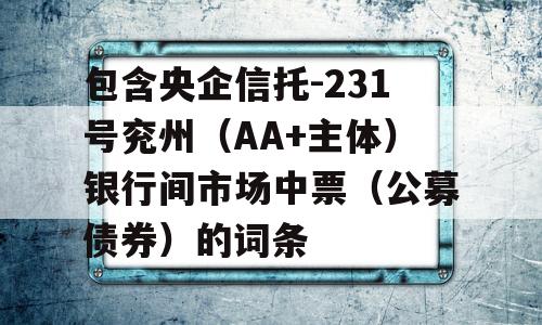 包含央企信托-231号兖州（AA+主体）银行间市场中票（公募债券）的词条